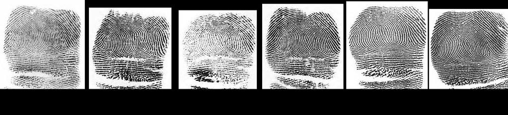 Persistence Database: fingerprints of 20K convicts with an average of 8 arrests