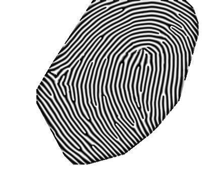 Fingerprint = Fingerprint 460