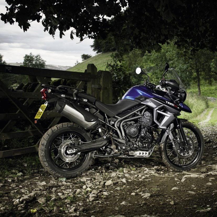 speed ranges, the Tiger 800 family off ers you a choice of