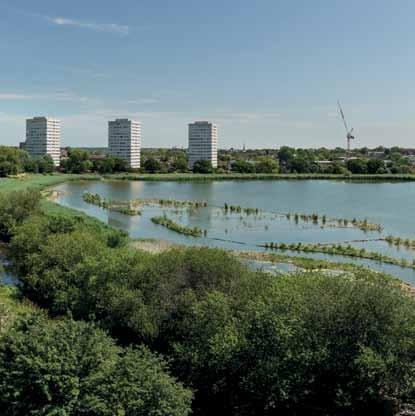Woodberry Wetlands, Hackney Woodberry Wetlands reserve was created on the site of the East Reservoir in Stoke Newington.