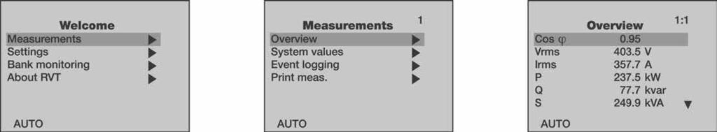 15 RVT-D INSTRUCTION MANUAL 5.2. Overview The Overview menu displays all measured items in a list. The user may customize the display of the measurement values to his particular needs.