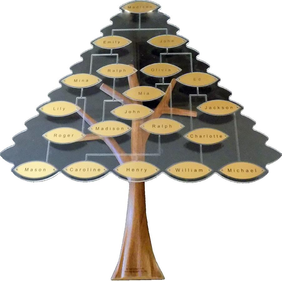 Natural Wood Donor and Family Trees If you have your own digital family tree and