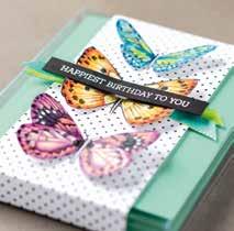 BOTANICAL BUTTERFLY DESIGNER SERIES PAPER 149622 This whimsical paper is a butterfly lover s