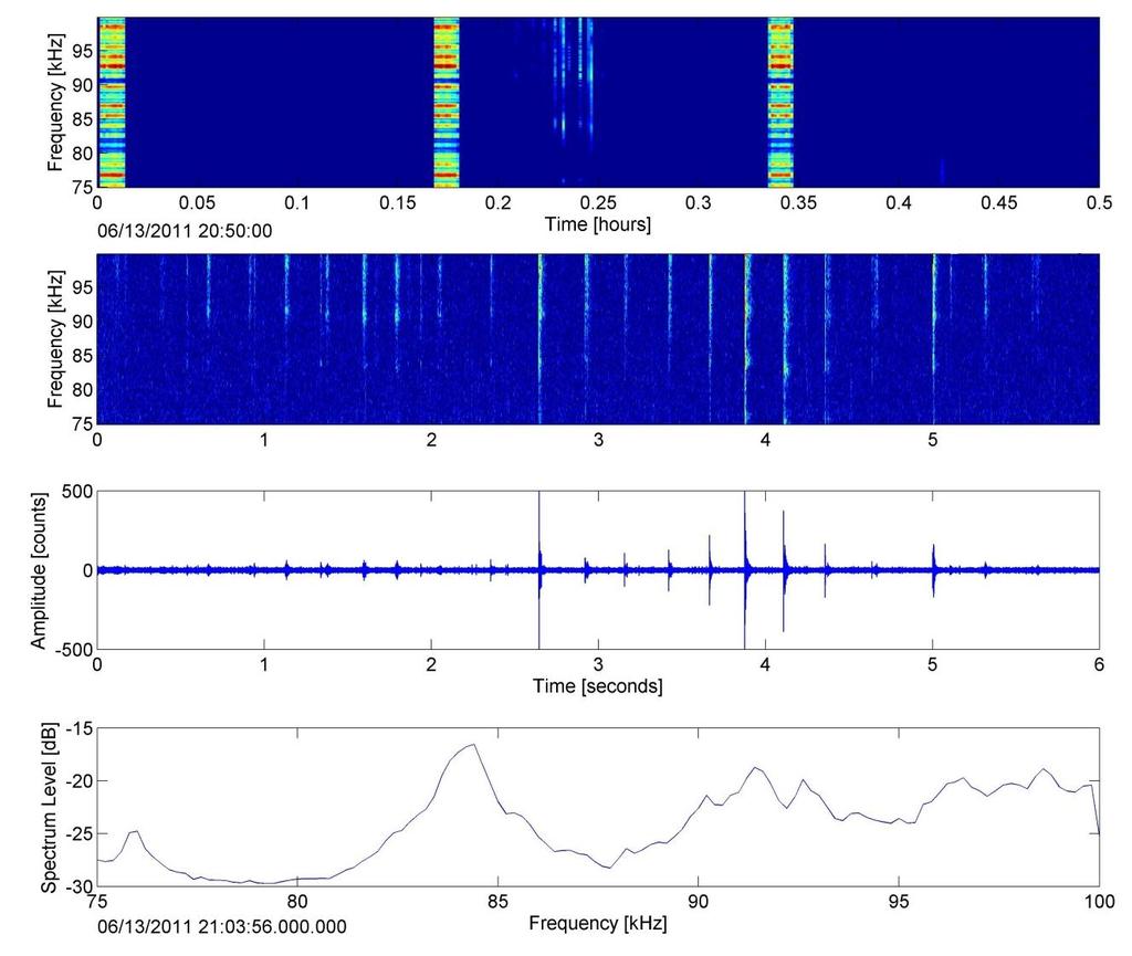 Figure 16 Porpoise echolocation clicks from the North Sea on 13 June 2011. The top panel LTSA shows porpoise clicks above 80 khz starting around 0.22 h.