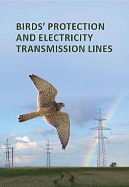 electricity grid; printed popular brochure on