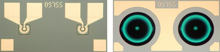 Photographs of the balanced PD array. Left: PD topside. Right: PD backside with integrated lenses.