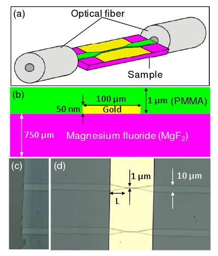 Figure 6-1: (a) Schematic representation of the proposed end-fire in/out coupling arrangement showing cleaved PM single-mode optical fibers and a fabricated sample with waveguide stripes.