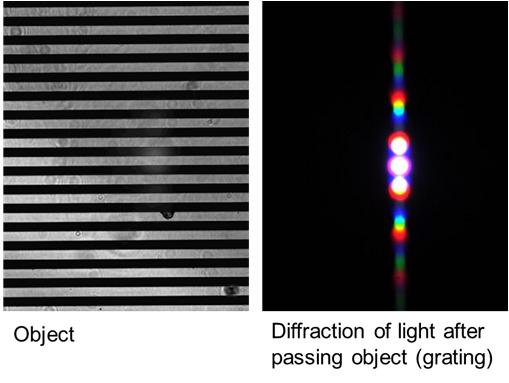 light from a periodic specimen produces a diffraction pattern of