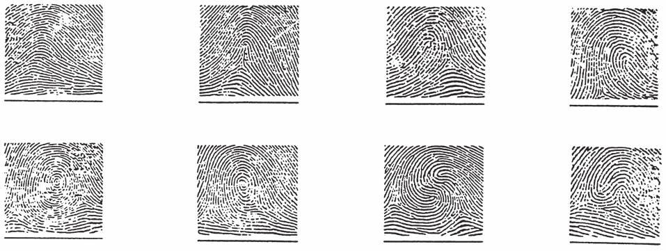 Fingerprinting Fingerprinting, the science of using the friction ridge pattern on the fingertips for identification, is one of the earliest forms of scientific evidence to be recognized by courts of