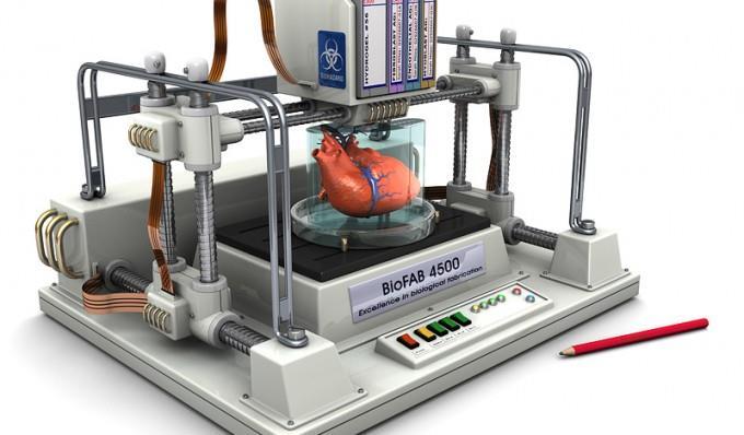 4.0 & Machines: 3D printing Organ