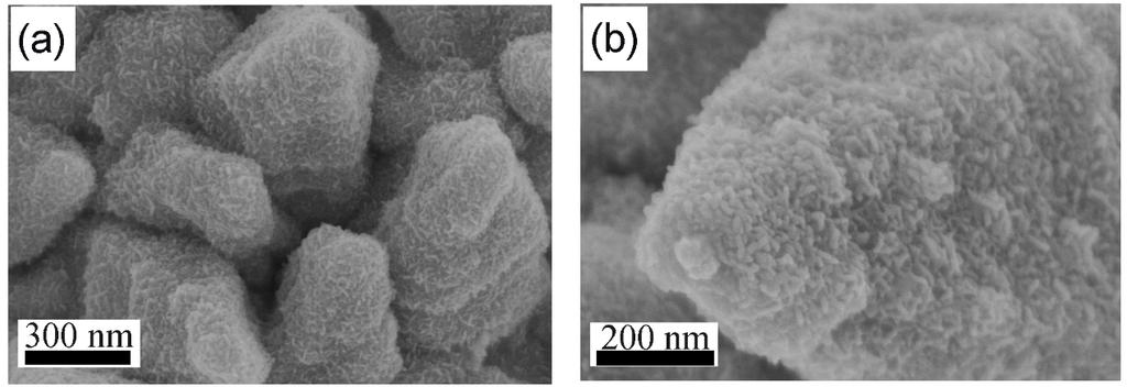 Fig. S3 SEM (a) and magnified SEM (b) images of MNN after 100 CV cycles with the scan rate of 20mV/s.
