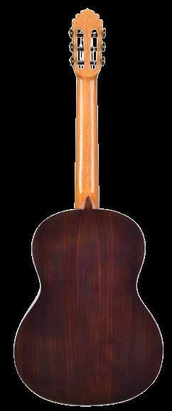Classical guitar A Classical guitar B Cedar This top of this guitar has a pale colour, thanks to the strong Canadian cedar wood which also forms its neck.