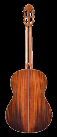 Classical guitar C Cedar Classical guitar C Sapele Professional level This guitar has two woods mainly: red cedar, which is located on top and Rosewood India in sides and back.