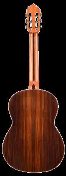 Classical guitar D Cedar Classical guitar D Spruce With a solid red cedar top and robust Indian rosewood back and sides, this guitar is as beautiful as it is strong because, as well as these woods,