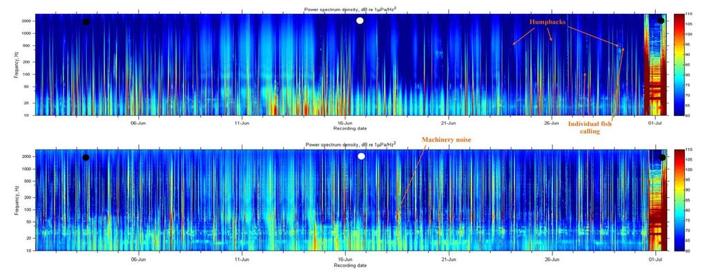 Figure 5: Stacked sea noise spectra in 31 day batches from 01-June-2011 for (top) the offshore site and