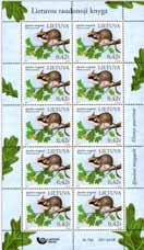 755-756 The northern birch mouse (Latin: Sicista betulina) is a small rodent