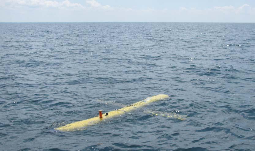 SA BOSS-40 AUV Studies in the Gulf (2013) BOSS exercises off the Panama City, FL coast were a success due to the following efforts: BOSS Preparation and Flights Richard Holtzapple, Joe Lopes, and