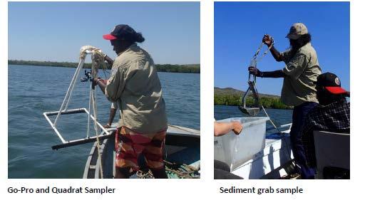 Local Scale: Seagrass Watch type surveys used to monitor condition of dugong habitat where few dugongs (e.g. Mary Island Uunguu rangers) Large Scale: Seagrass Mapping of Kimberley region (e.
