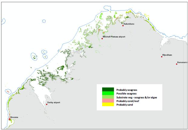 First-pass seagrass map of Kimberley coastal waters Landsat 8 mosaic Kimberley