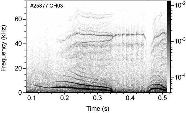 Strong tearing mode activity in FTU plasmas pulse #2524 8 f (khz) 6 4 Figure 1.