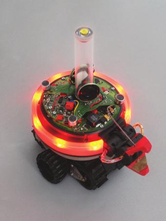When a single robot tried to remove a stick, it would wait for another robot to arrive. The optimal waiting time was computed as a function of the environmental parameters.