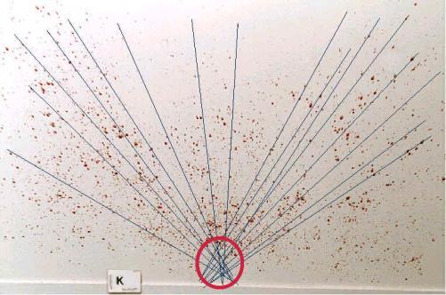 The line drawn through the of each individual bloodstain can then be