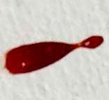 Measure the width and length of each bloodstain.