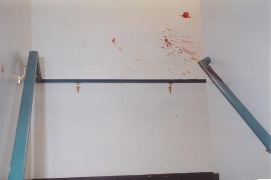 ANALYZE A CASE Test your Skills as a Bloodstain Pattern Analyst! As a bloodstain pattern analyst you have been called to the following scene by the police investigator.