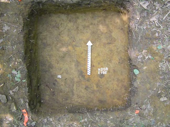 Thwings Point 2014 8 Figure 8. Showing the edge of the cellar, Feature 6, in N208 E192, at a depth of 40cm b.d. Figure 9.