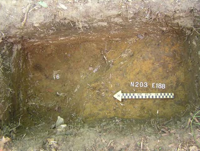 pth of 35cm b.d. excavated several negative test units until we found the very edge of the cellar wall along the east wall of N205 E186 HPW.