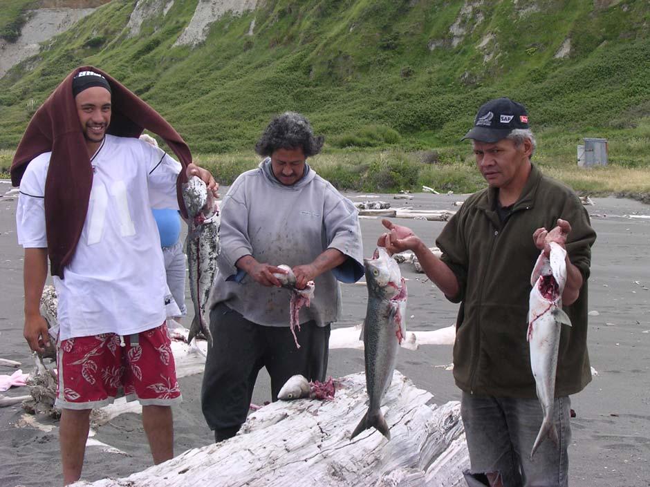 Coastal Hapū Collective was formed in response to current fisheries management processes, which tend to divide rather than integrate these fisheries sectors.