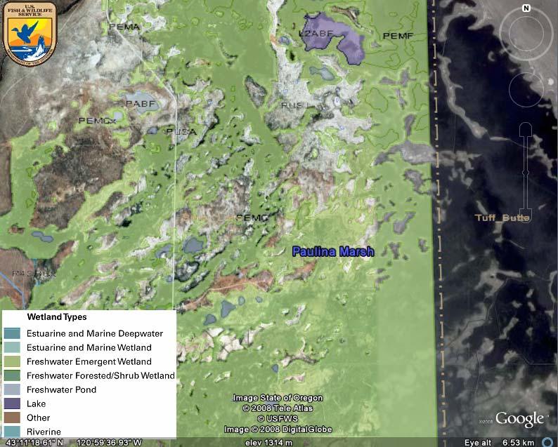 Figure 2: Google Earth (2008) map of Paulina Marsh with the USFWS