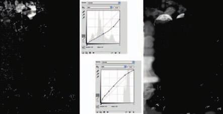 Fig. 11-10v The Curves adjustment layers shown here worked to burn in (left) and dodge (right) the photograph from Figure 11-10u.