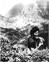 Steve Mountainspring negotiates a very narrow stretch on Puu Hoi Ridge (Tr.