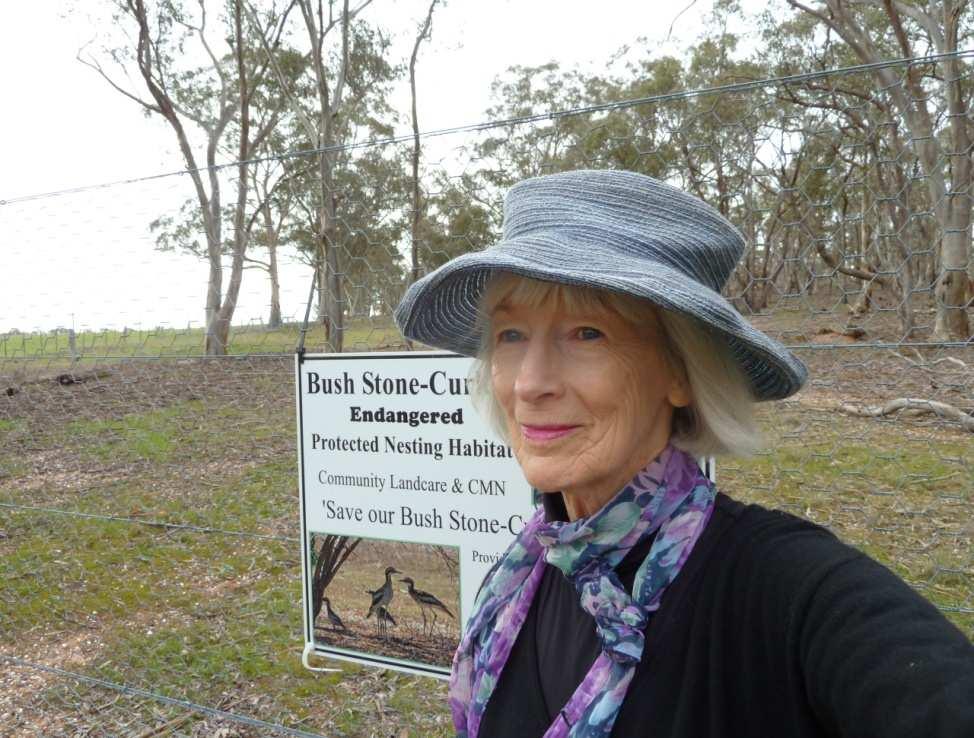 Our last Curlew? How Community Volunteers are Providing it with a New Family. Judy Crocker Facilitator Mid Loddon Landcare Network and Conservation Management Network jcroc22@gmail.