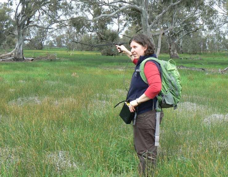 Lessons from 10 years of Studying Bush Stone-curlews. Elisa Tack Murray Local Land Services, 421 Swift Street, Albury, NSW 2640 elisa.tack@lls.nsw.gov.