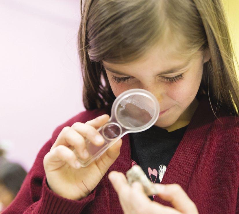Exploring Nature campers can discover natural phenomena, meet animal friends in our Animal Discovery Room, and learn about habitats and ecosystems.