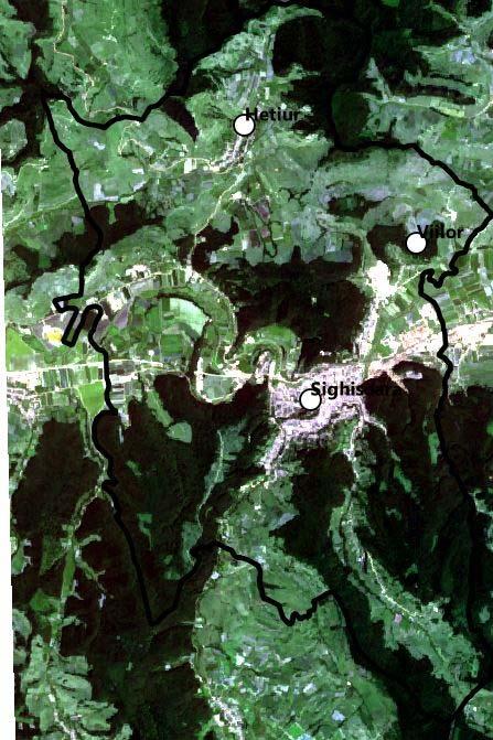 8 and Sentinel-2, the latter offering more details given the higher spatial resolution. Sentinel 1 and Sentinel 2 images were downloaded with The Copernicus Open Access Hub (https://scihub.copernicus.