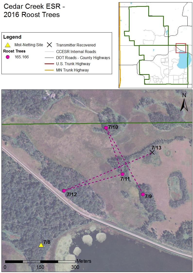 Map showing the site at which bats were mist-netted on July 8 th, 2016 (yellow triangle) near Fish Lake.