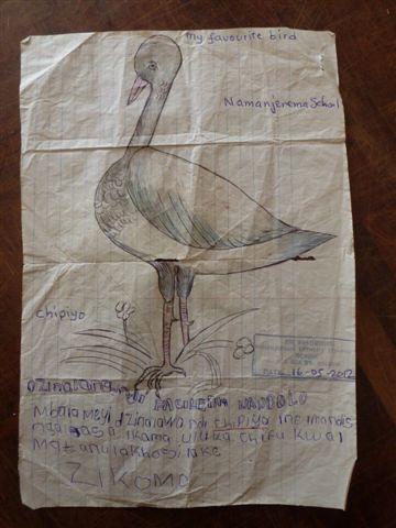 This (which won first prize) is a crane and it is liked because "of the way it stretches out its neck and flies very beautifully".