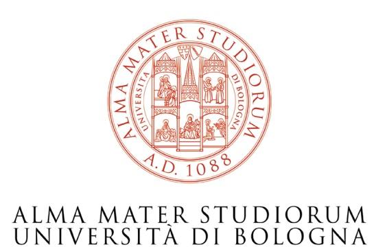 Diego Masotti University of Bologna