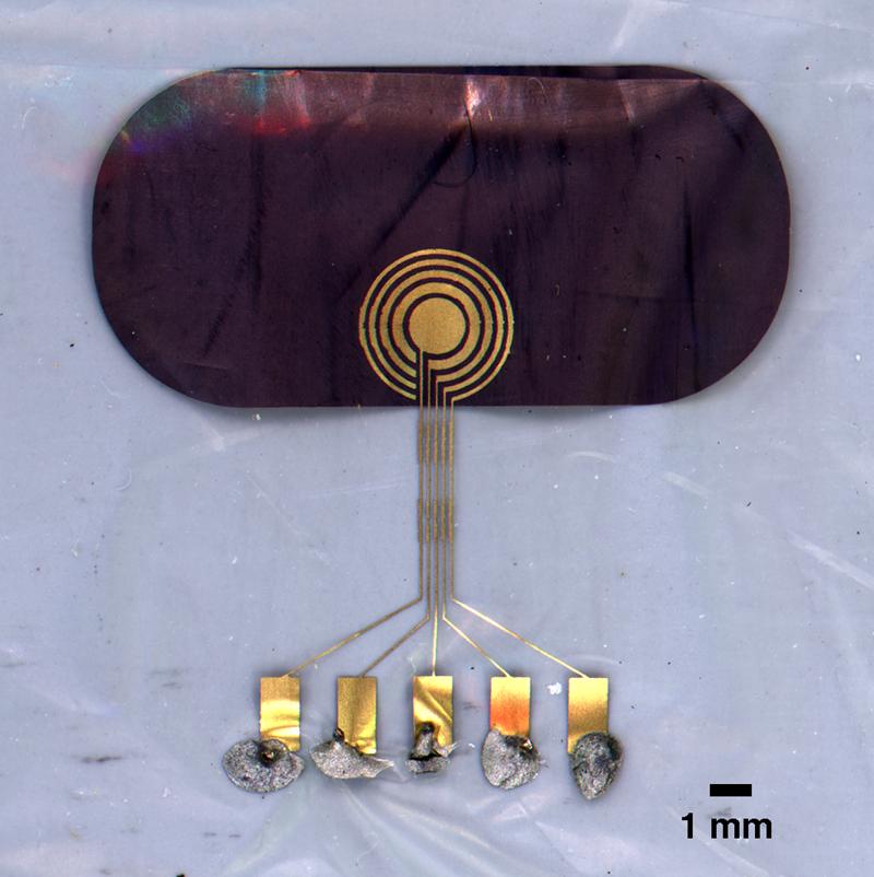 40-MHz annular array transducers