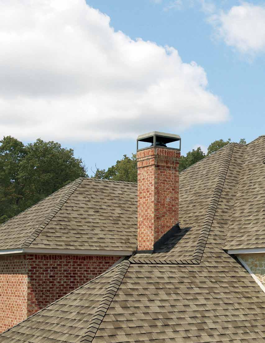 Why Settle For A Standard Architectural Shingle.