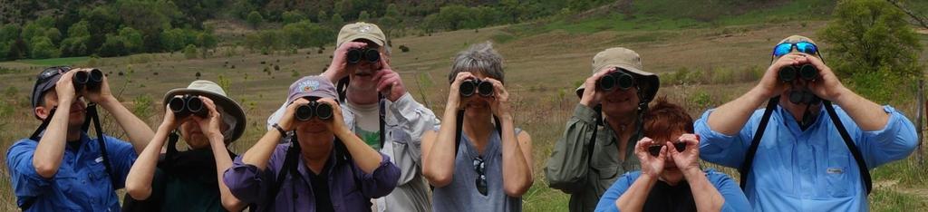 Great Wisconsin Birdathon Like a walkathon, with bird species instead of miles Any day from April 15-June 15 Start a team of friends and