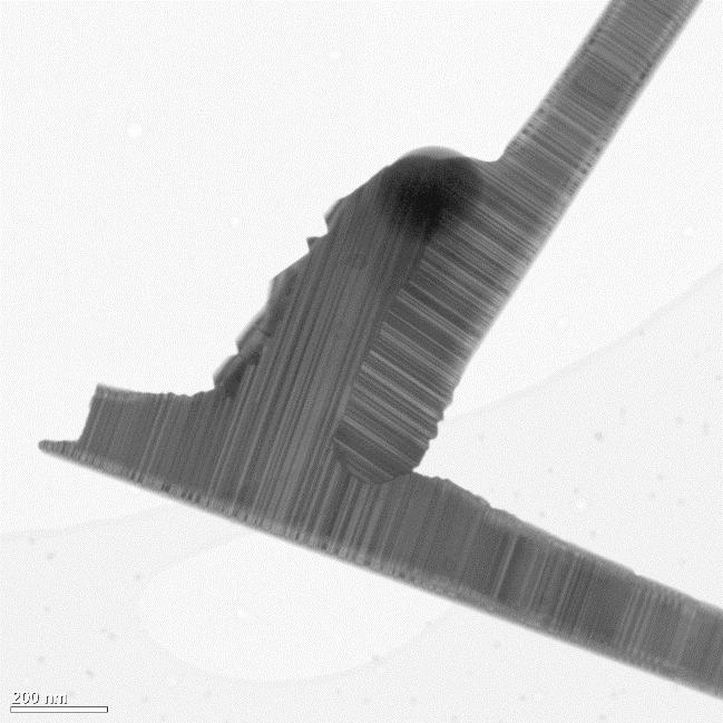 Figure S16: TEM images GaAs nanowires junction merged under an angle of ~ 70. The Ga droplets are squeezed out of the structure.