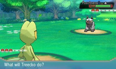 In the battles, the camera angle shows the player/player Pokémon and the opposing/foe Pokémon.