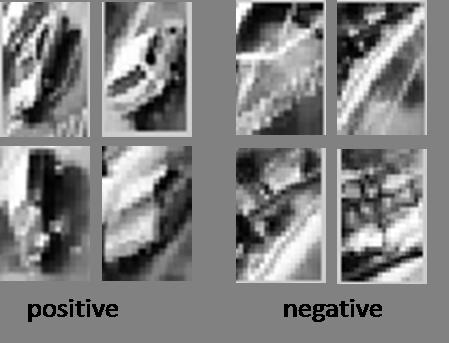 the cropped images as validation dataset.