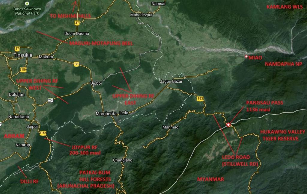 Trip Report: Namsang Road (Joypur Reserve Forest in Dehing-Patkai WLS) Upper Assam, India 23 nd Dec 2010 By Pritam Baruah This is a rather brief report on a good day of birding in Joypur RF of