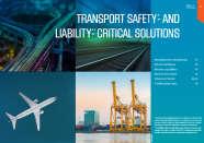 three key macrosegments: Mass market consumer solutions Transport safety- and
