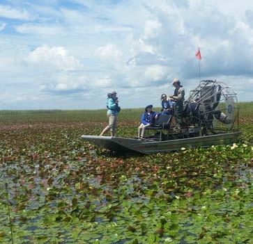 Everglades Restoration Projects to Improve Resiliency In addition to repairing damages to projects under construction, post- Hurricane Irma recovery efforts should focus on investing in Everglades